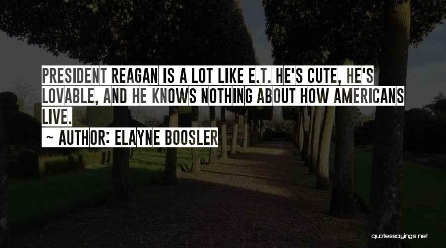 Elayne Boosler Quotes 332605