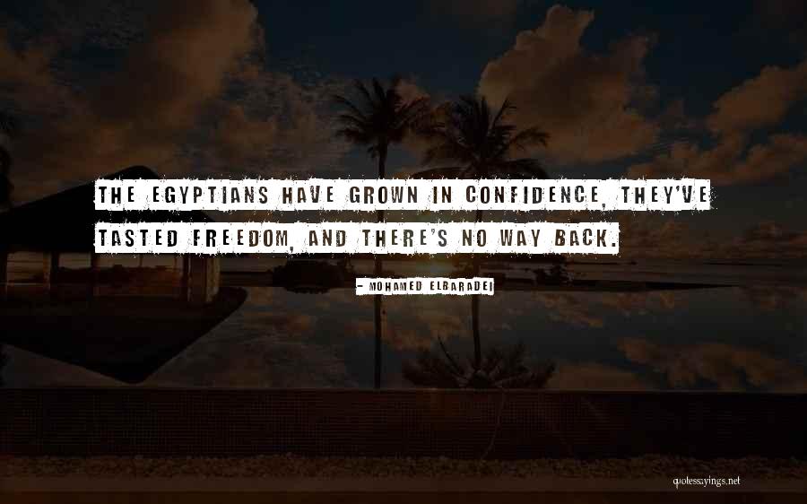 Elbaradei Mohamed Quotes By Mohamed ElBaradei Elbaradei Mohamed Quotes By Mohamed ElBaradei
