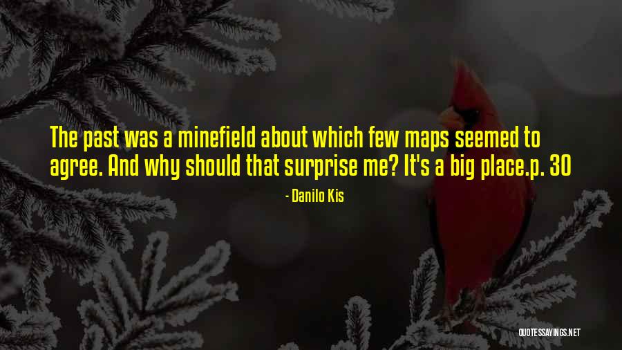 Elbise Dolabi Quotes By Danilo Kis Elbise Dolabi Quotes By Danilo Kis