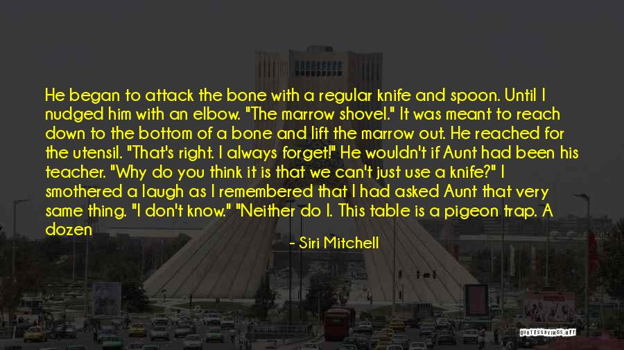 Elbow Quotes By Siri Mitchell Elbow Quotes By Siri Mitchell