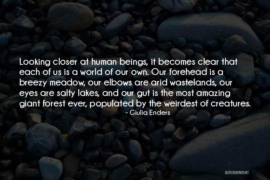 Elbows Quotes By Giulia Enders Elbows Quotes By Giulia Enders