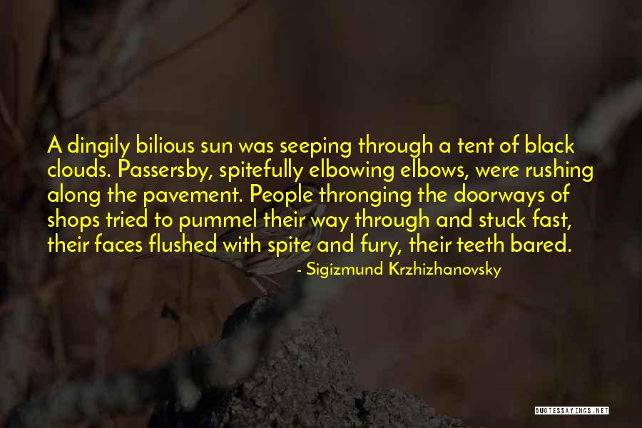 Elbows Quotes By Sigizmund Krzhizhanovsky Elbows Quotes By Sigizmund Krzhizhanovsky