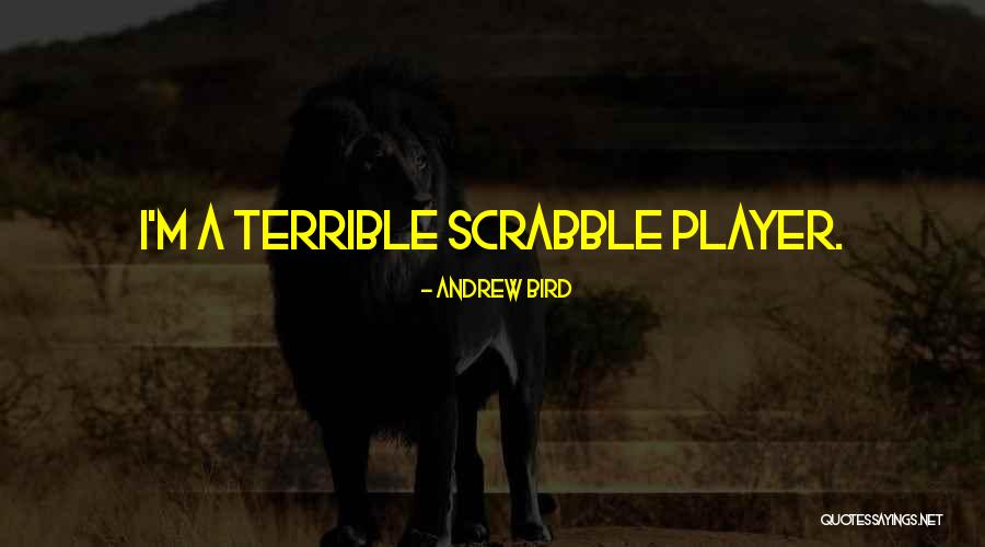 Elchuki Quotes By Andrew Bird