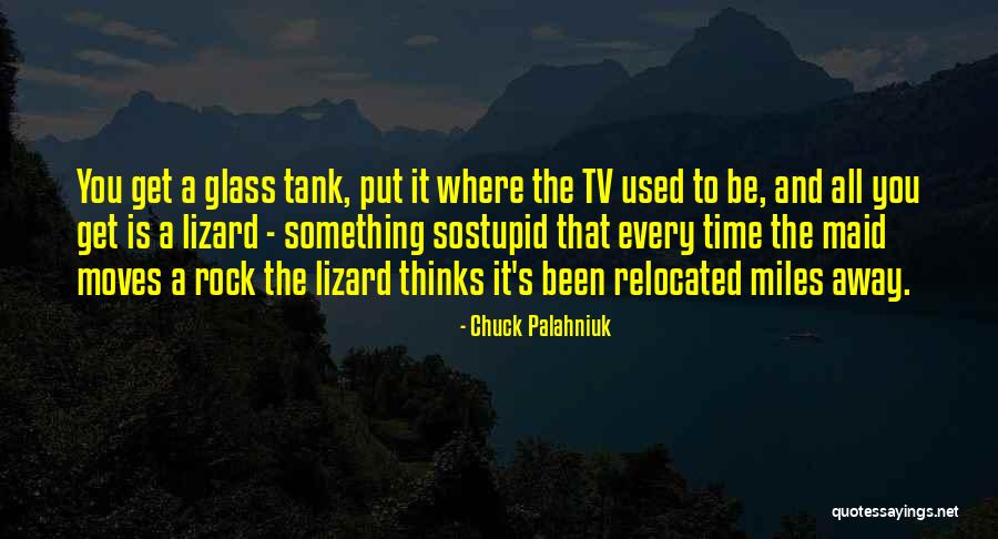 Elcidin Quotes By Chuck Palahniuk Elcidin Quotes By Chuck Palahniuk