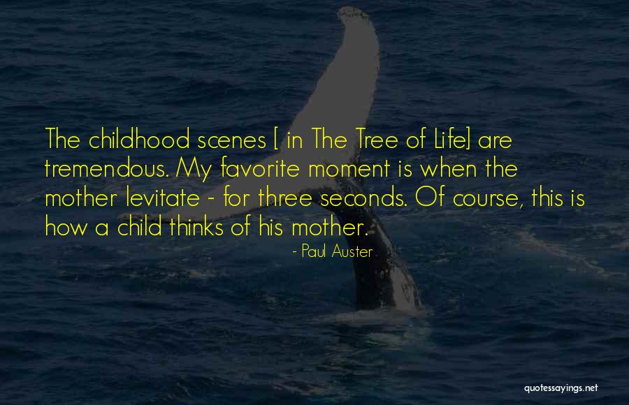 Elcidin Quotes By Paul Auster Elcidin Quotes By Paul Auster