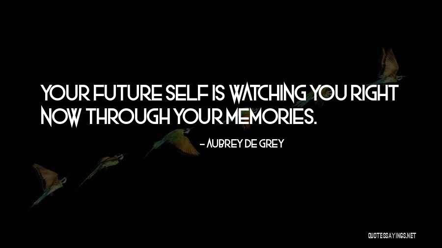 Eldemire Quotes By Aubrey De Grey Eldemire Quotes By Aubrey De Grey