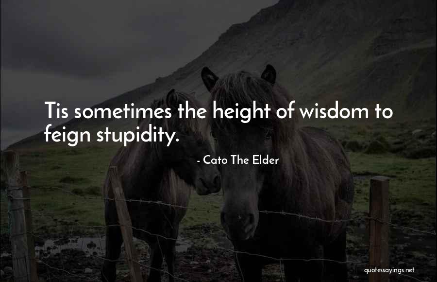 Elder Wisdom Quotes By Cato The Elder Elder Wisdom Quotes By Cato The Elder