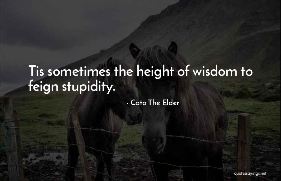 Elder Wisdom Quotes By Cato The Elder