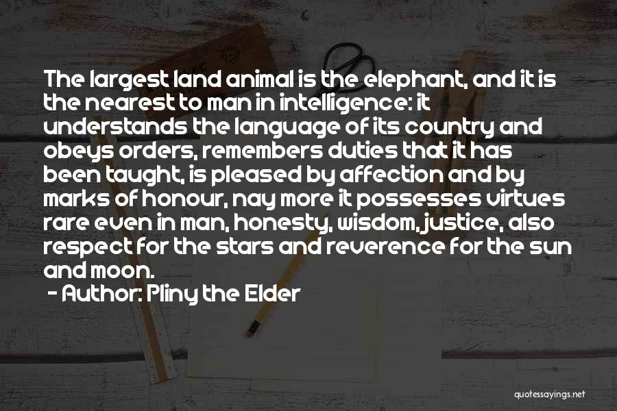 Elder Wisdom Quotes By Pliny The Elder