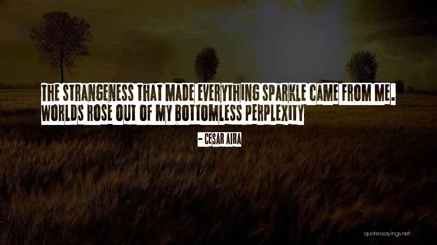 Eldership Verses Quotes By Cesar Aira Eldership Verses Quotes By Cesar Aira