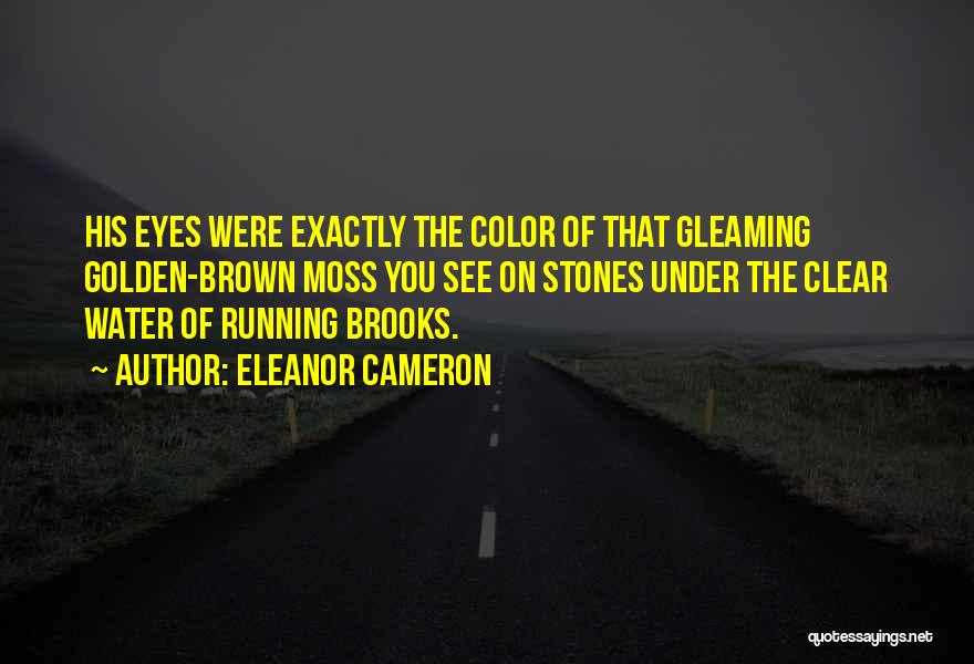 Eleanor Cameron Quotes 1659603