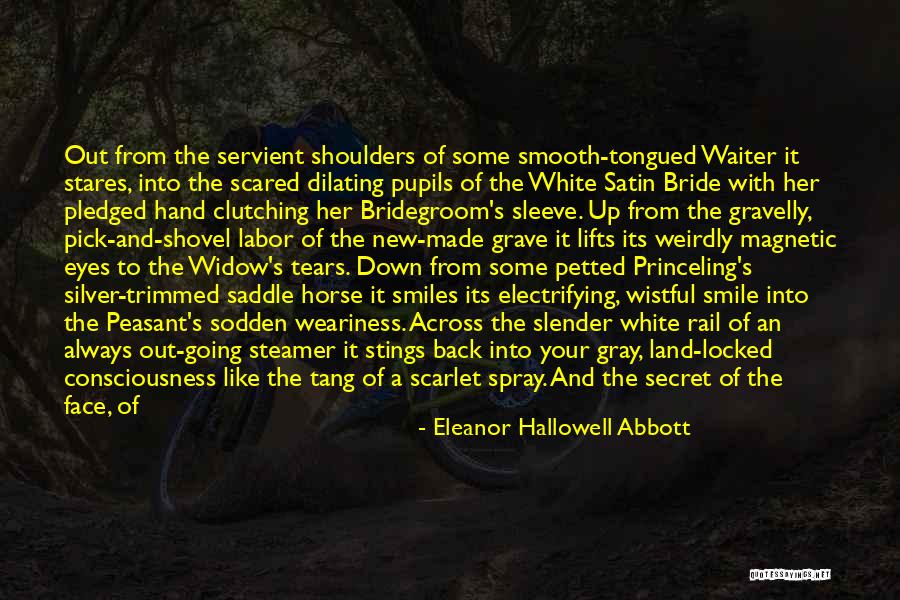 Eleanor Hallowell Abbott Quotes 325486