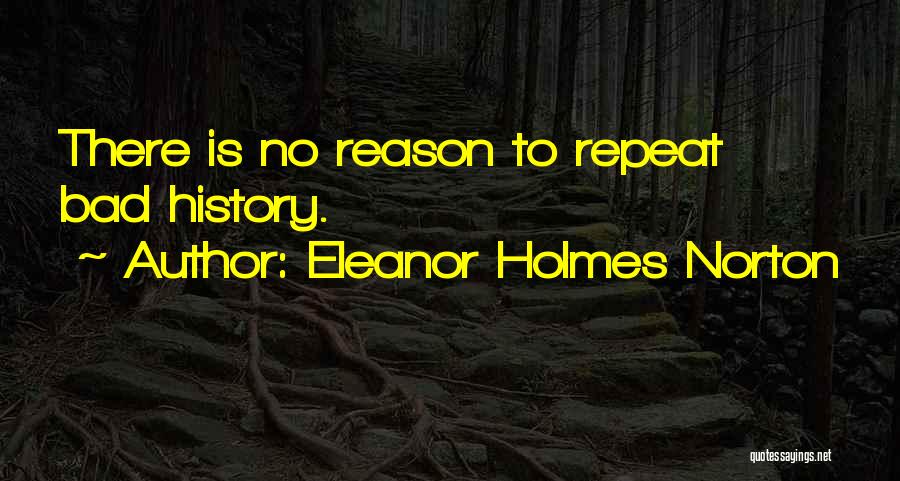 Eleanor Holmes Norton Quotes 348766