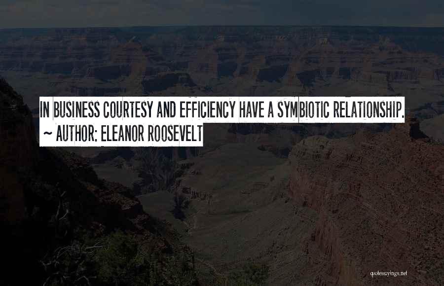 Eleanor Roosevelt Quotes 1678125