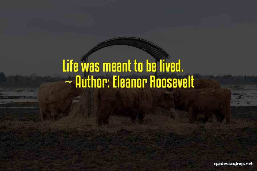 Eleanor Roosevelt Quotes 2172952