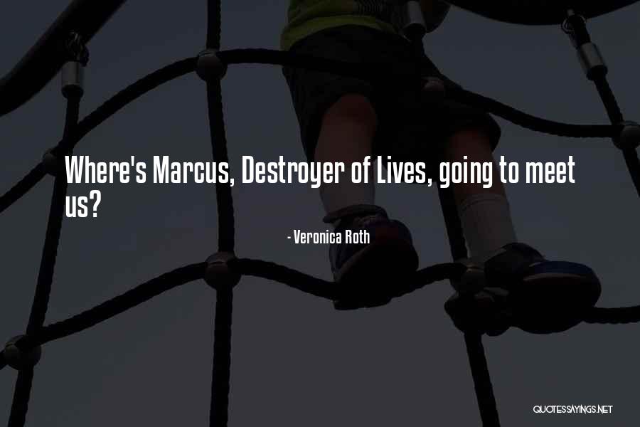 Eleanors Garden Hospice Quotes By Veronica Roth Eleanors Garden Hospice Quotes By Veronica Roth