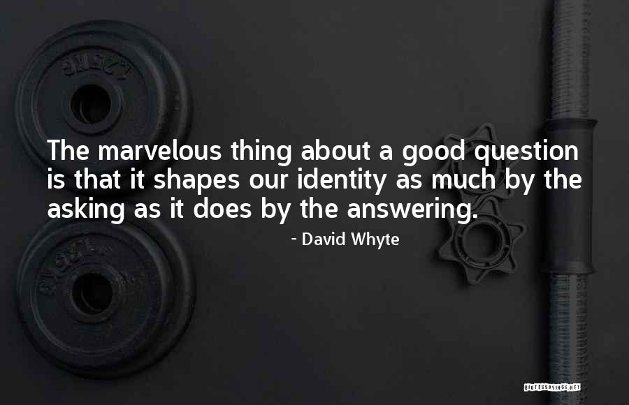 Election Of 1928 Quotes By David Whyte Election Of 1928 Quotes By David Whyte