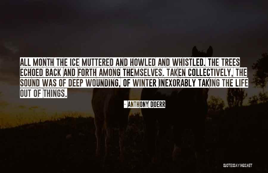 Elections Result Quotes By Anthony Doerr Elections Result Quotes By Anthony Doerr