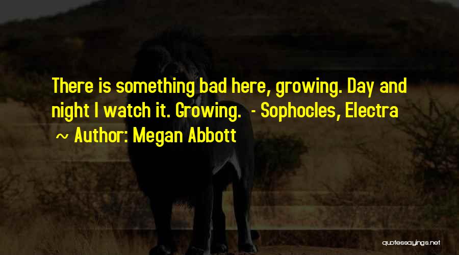 Electra Quotes By Megan Abbott