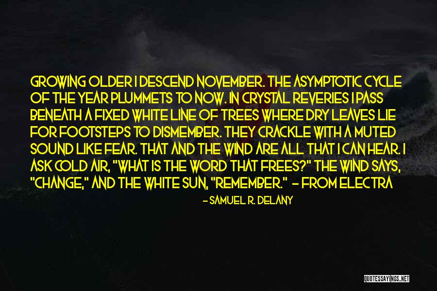 Electra Quotes By Samuel R. Delany Electra Quotes By Samuel R. Delany