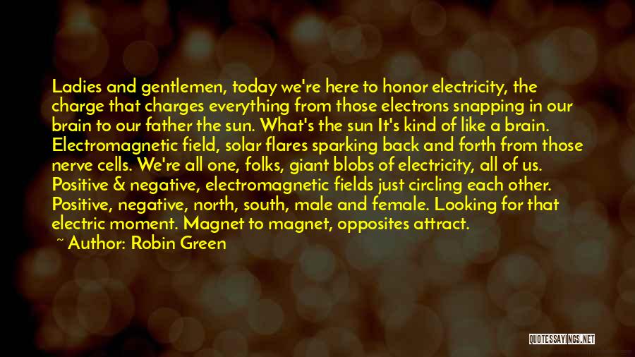 Electric Charge Quotes By Robin Green