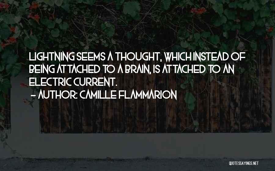 Electric Current Quotes By Camille Flammarion