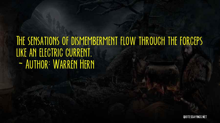 Electric Current Quotes By Warren Hern