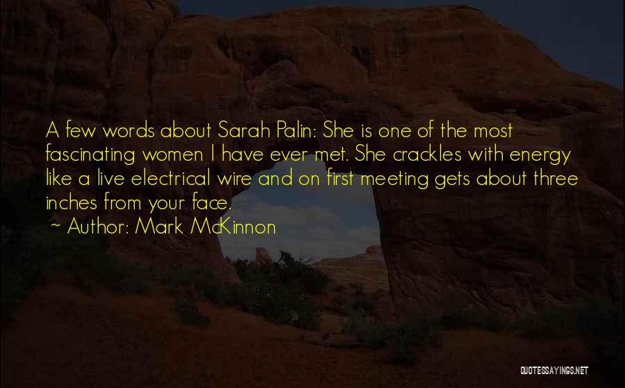 Electrical Energy Quotes By Mark McKinnon