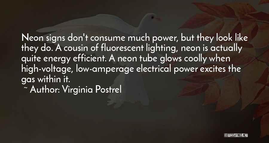 Electrical Energy Quotes By Virginia Postrel