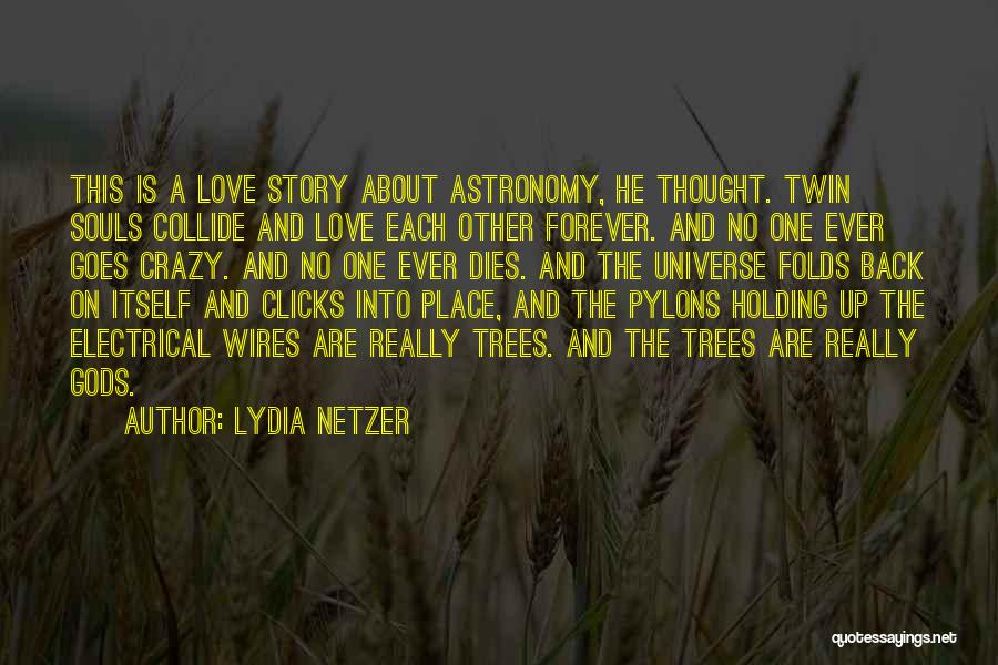 Electrical Love Quotes By Lydia Netzer