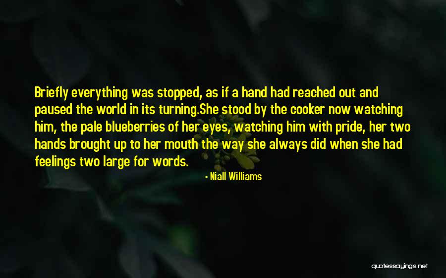 Electricidade Quotes By Niall Williams Electricidade Quotes By Niall Williams