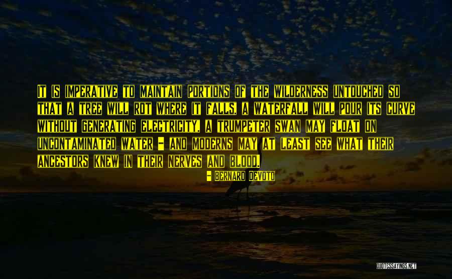 Electricity What Is It Quotes By Bernard DeVoto Electricity What Is It Quotes By Bernard DeVoto