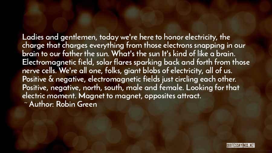 Electromagnetic Field Quotes By Robin Green