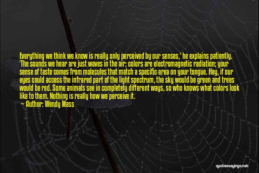 Electromagnetic Waves Quotes By Wendy Mass