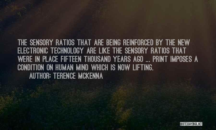 Electronic Quotes By Terence McKenna