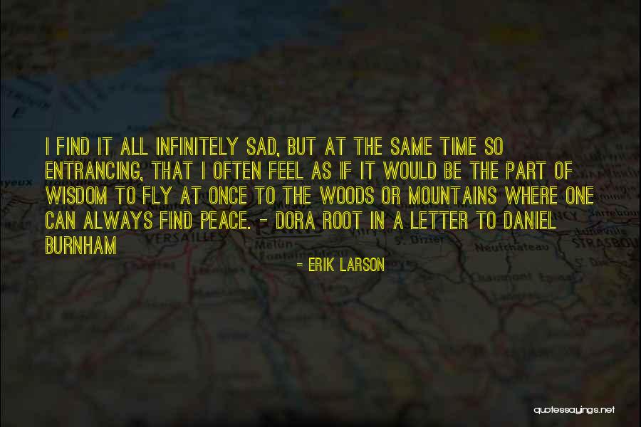Electroweak Theory Quotes By Erik Larson Electroweak Theory Quotes By Erik Larson