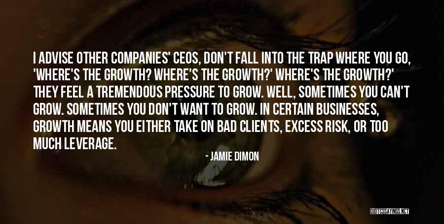 Eleftheros Kosmos Quotes By Jamie Dimon Eleftheros Kosmos Quotes By Jamie Dimon