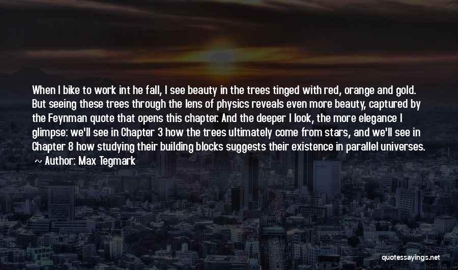 Elegance And Beauty Quotes By Max Tegmark