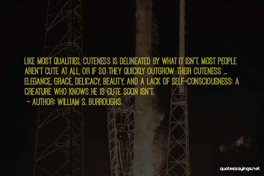 Elegance And Beauty Quotes By William S. Burroughs