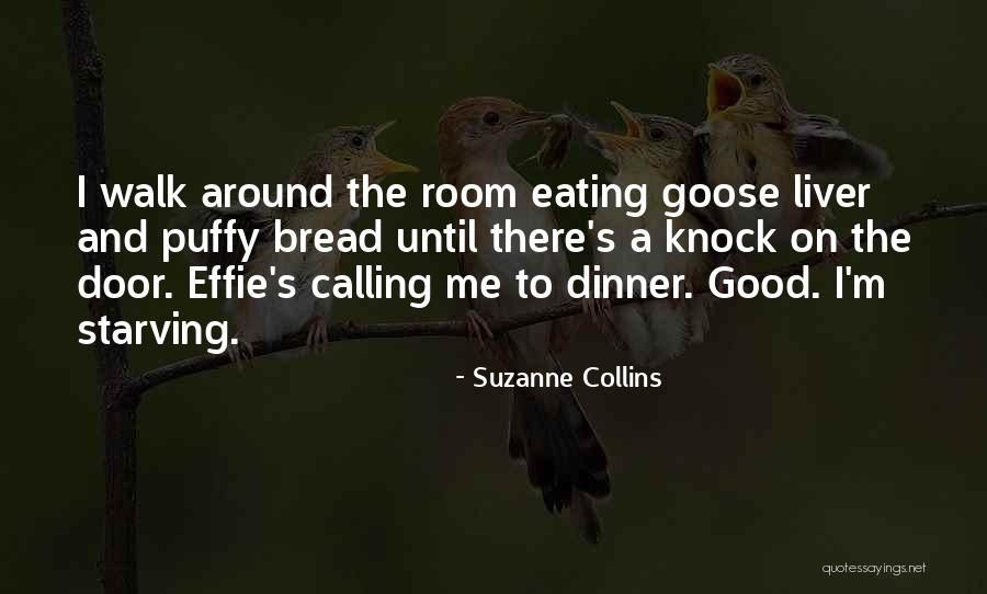 Elegance Of The Hedgehog Quotes By Suzanne Collins Elegance Of The Hedgehog Quotes By Suzanne Collins