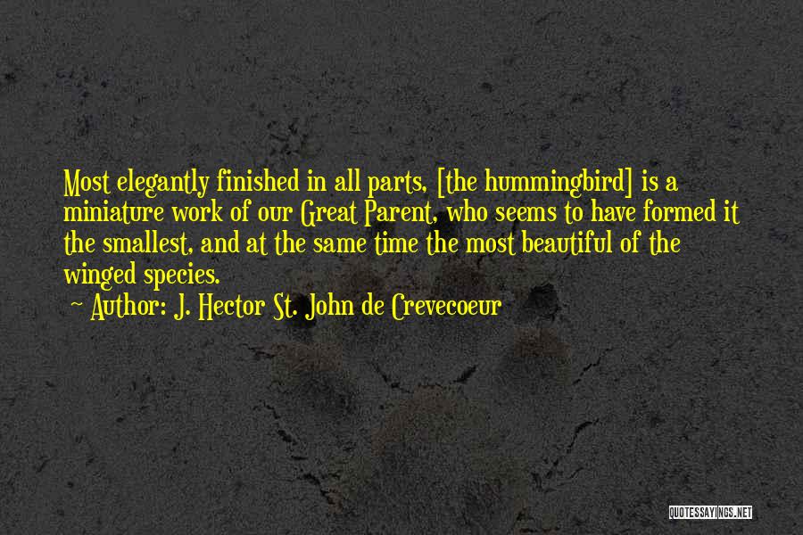 Elegantly Beautiful Quotes By J. Hector St. John De Crevecoeur