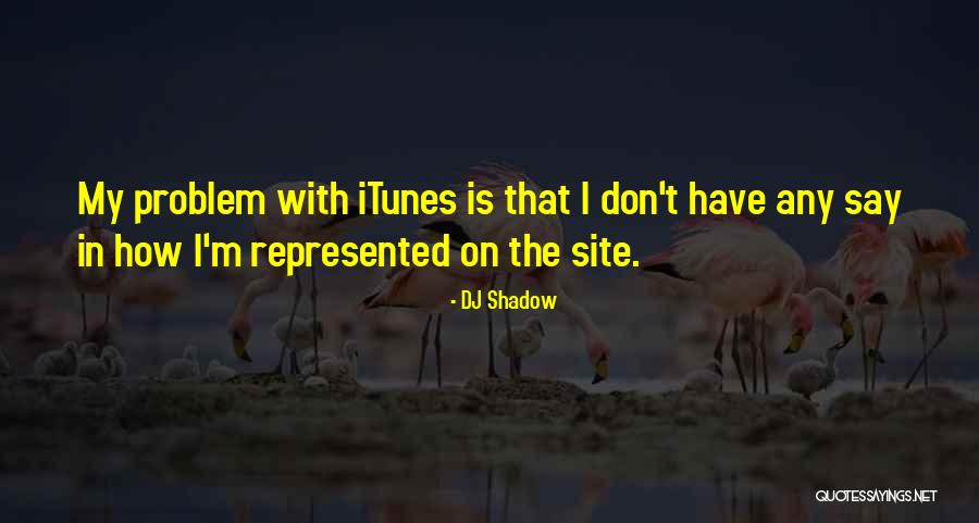 Elegist Synonym Quotes By DJ Shadow Elegist Synonym Quotes By DJ Shadow