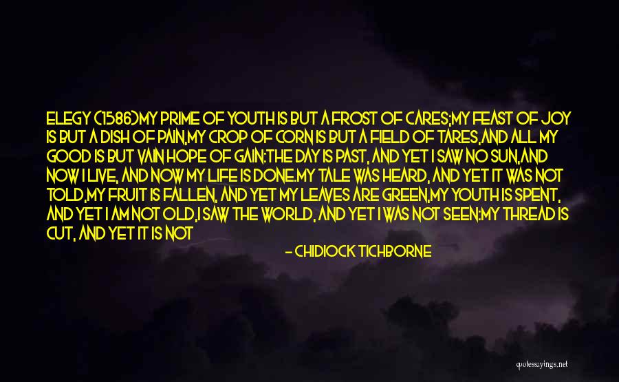 Elegy Quotes By Chidiock Tichborne