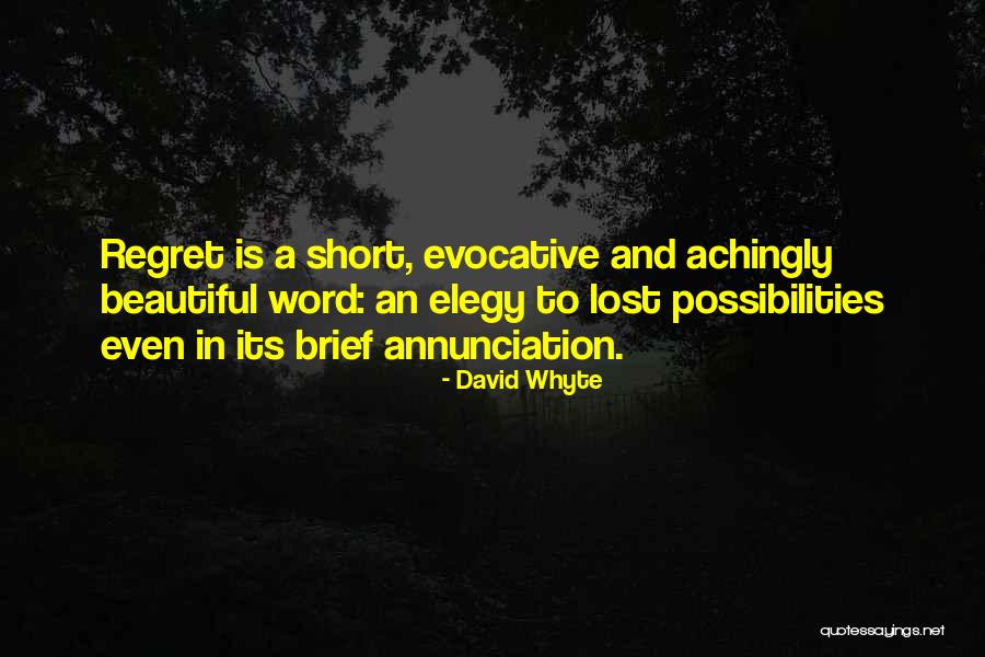 Elegy Quotes By David Whyte