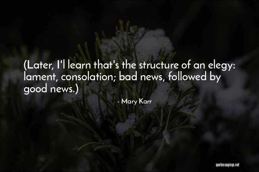 Elegy Quotes By Mary Karr