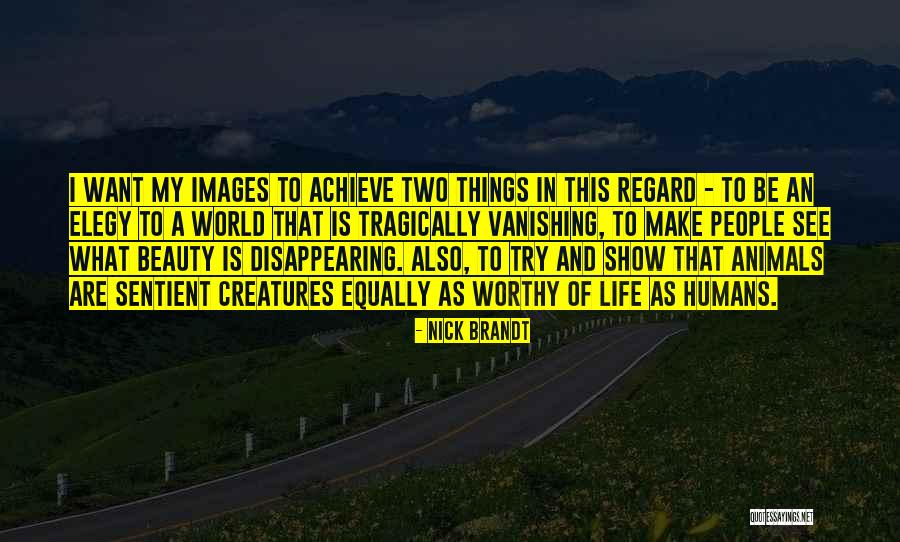 Elegy Quotes By Nick Brandt