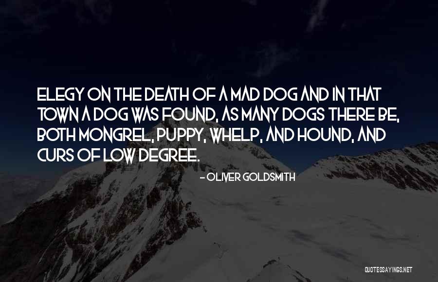 Elegy Quotes By Oliver Goldsmith