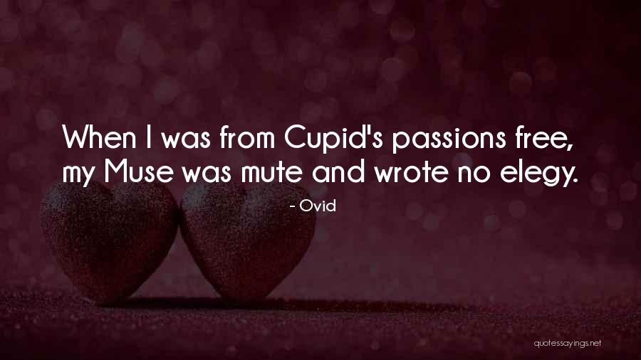 Elegy Quotes By Ovid