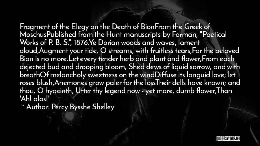 Elegy Quotes By Percy Bysshe Shelley