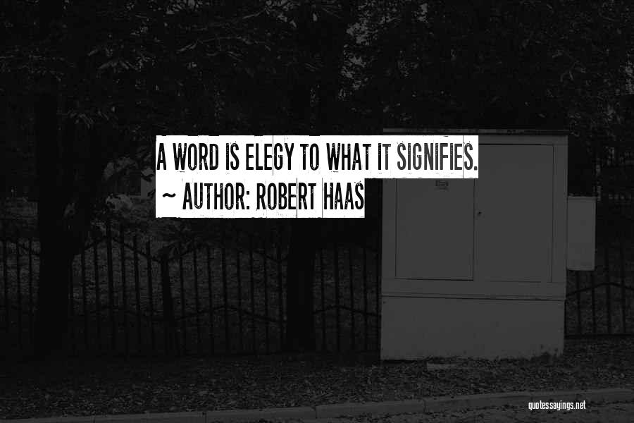 Elegy Quotes By Robert Haas